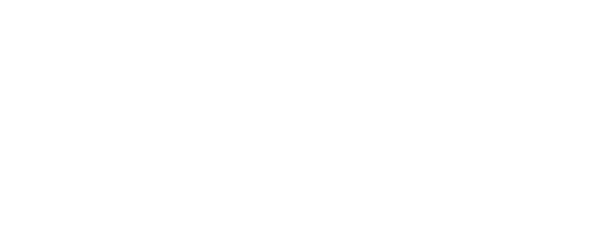 Pulso Capital